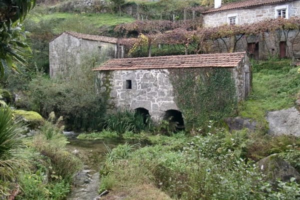 Foto 58 da atividade Galeria de Fotos