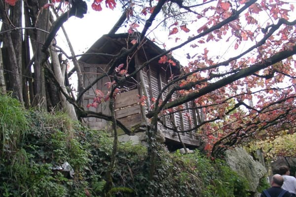 Foto 54 da atividade Galeria de Fotos