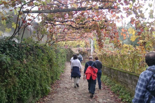 Foto 43 da atividade Galeria de Fotos