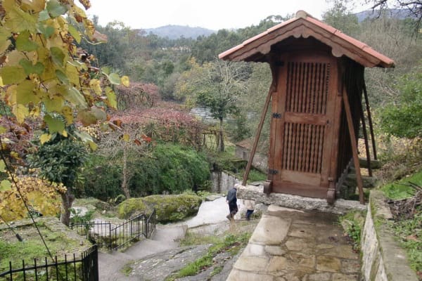 Foto 41 da atividade Galeria de Fotos