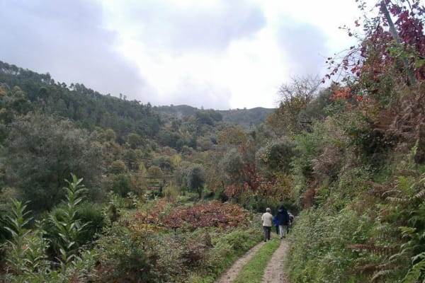 Foto 18 da atividade Galeria de Fotos