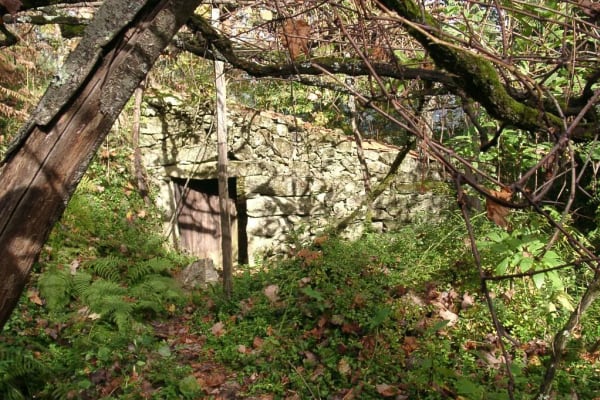 Foto 9 da atividade Galeria de Fotos