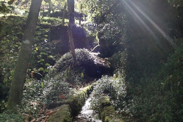 Foto 4 da atividade Galeria de Fotos