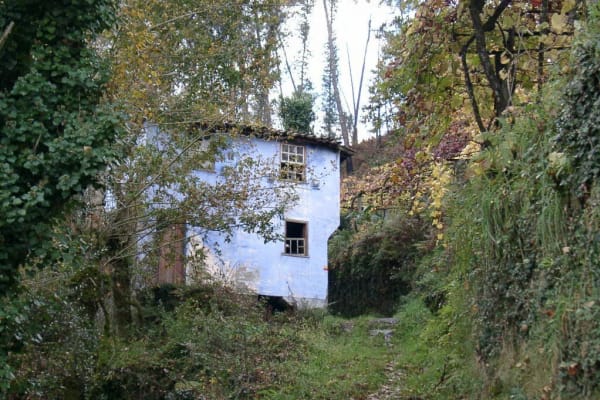 Foto 2 da atividade Galeria de Fotos