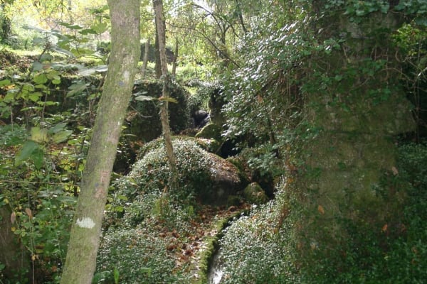 Foto 1 da atividade Galeria de Fotos