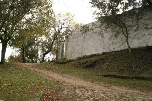 Foto 32 da atividade Galeria de Fotos