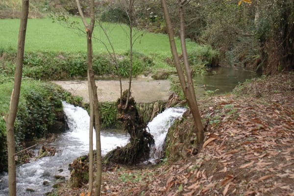 Foto 26 da atividade Galeria de Fotos