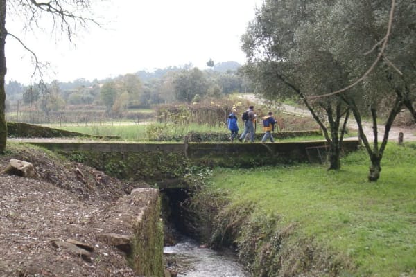 Foto 25 da atividade Galeria de Fotos