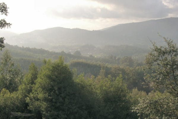 Foto 10 da atividade Galeria de Fotos