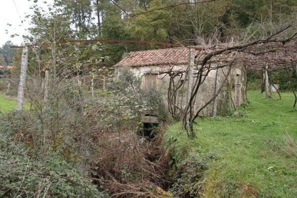 Foto 8 da atividade Galeria de Fotos