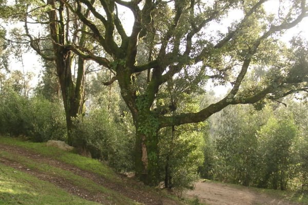 Foto 2 da atividade Galeria de Fotos