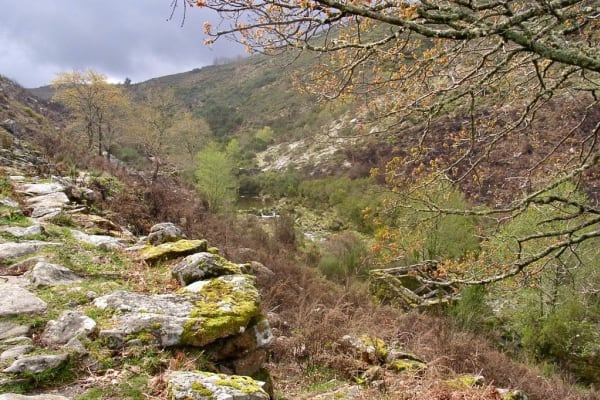 Foto 96 da atividade Galeria de Fotos