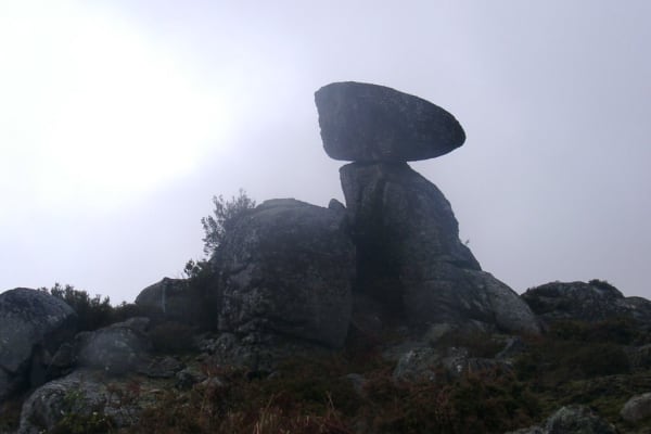 Foto 72 da atividade Galeria de Fotos