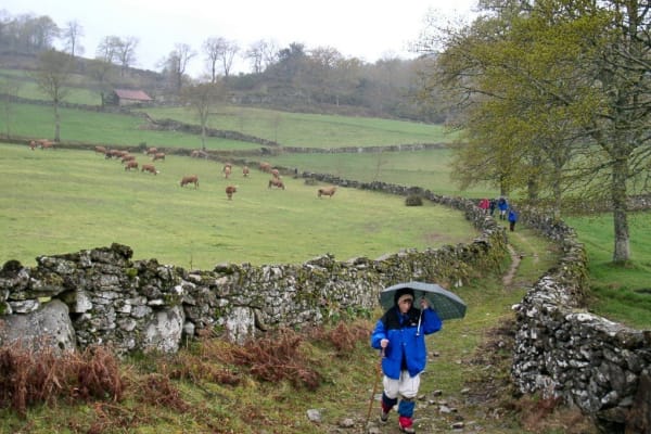 Foto 39 da atividade Galeria de Fotos