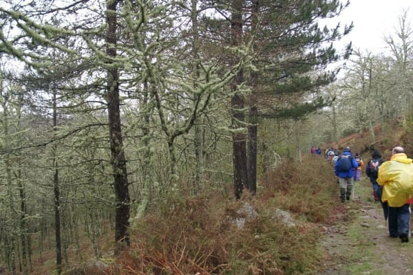 Foto 34 da atividade Galeria de Fotos