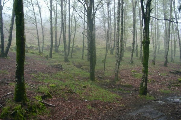 Foto 20 da atividade Galeria de Fotos