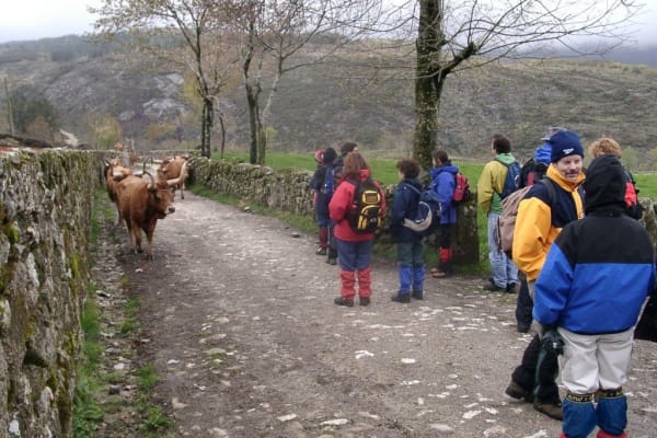 Foto 16 da atividade Galeria de Fotos