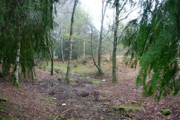 Foto 17 da atividade Galeria de Fotos