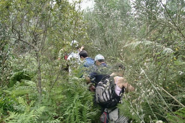 Foto 86 da atividade Galeria de Fotos