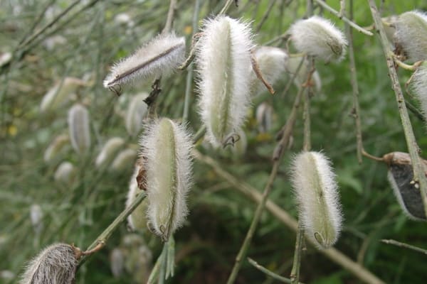 Foto 79 da atividade Galeria de Fotos