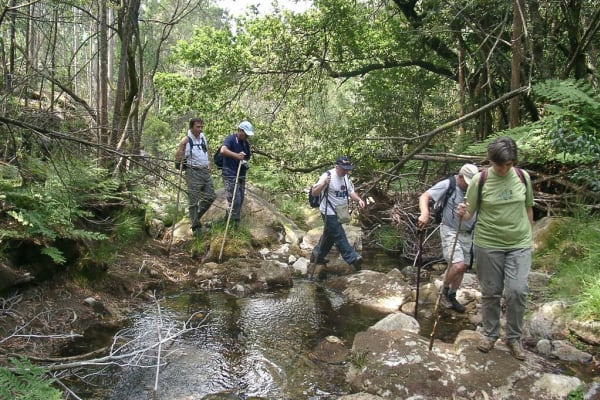 Foto 78 da atividade Galeria de Fotos