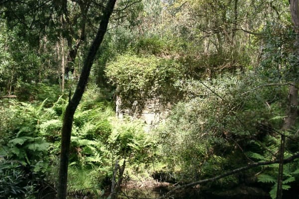 Foto 70 da atividade Galeria de Fotos