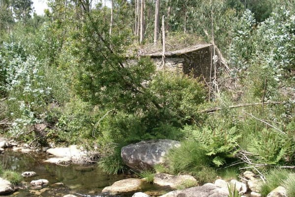 Foto 59 da atividade Galeria de Fotos