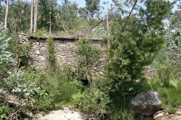 Foto 49 da atividade Galeria de Fotos