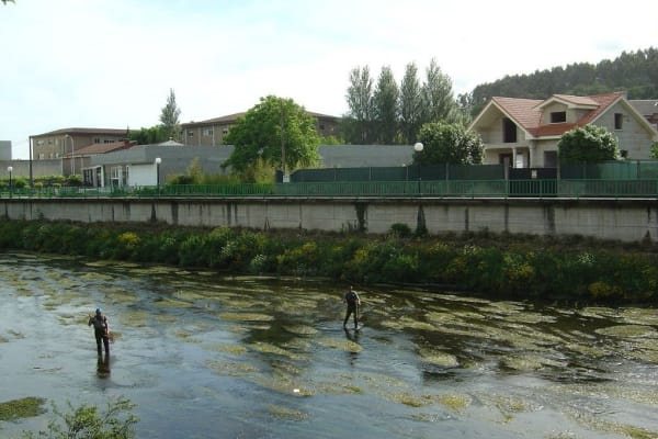 Foto 215 da atividade Galeria de Fotos