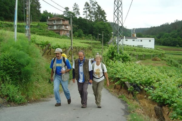 Foto 162 da atividade Galeria de Fotos