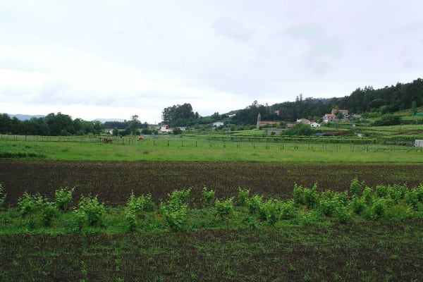 Foto 159 da atividade Galeria de Fotos