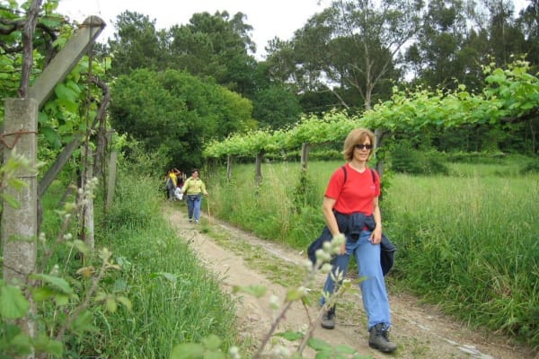 Foto 147 da atividade Galeria de Fotos