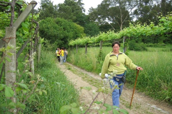 Foto 130 da atividade Galeria de Fotos