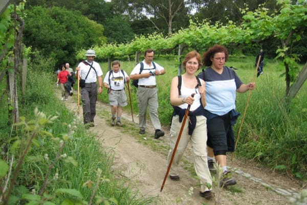 Foto 127 da atividade Galeria de Fotos