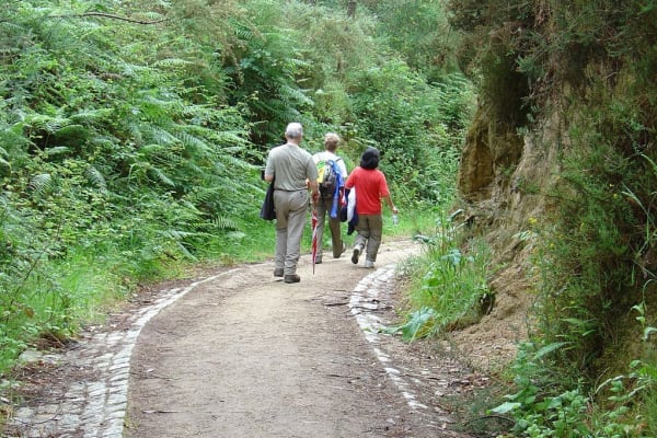 Foto 111 da atividade Galeria de Fotos