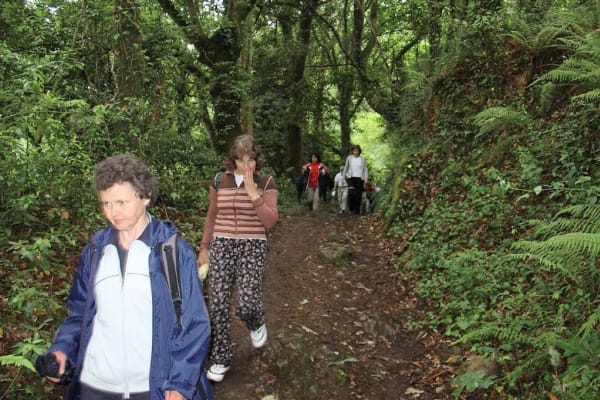 Foto 102 da atividade Galeria de Fotos