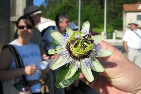 Foto 60 da atividade Galeria de Fotos