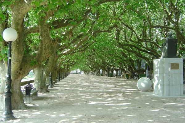 Foto 36 da atividade Galeria de Fotos