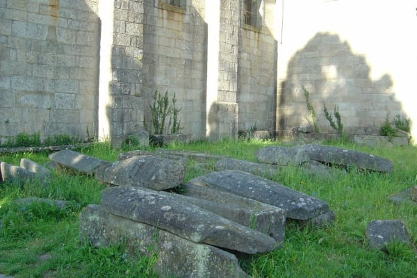 Foto 1 da atividade Galeria de Fotos