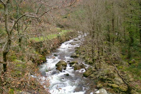 Foto 144 da atividade Galeria de Fotos