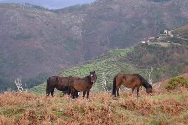 Foto 140 da atividade Galeria de Fotos