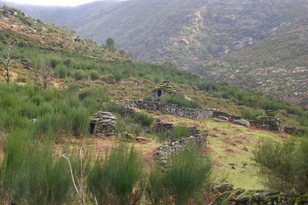 Foto 130 da atividade Galeria de Fotos