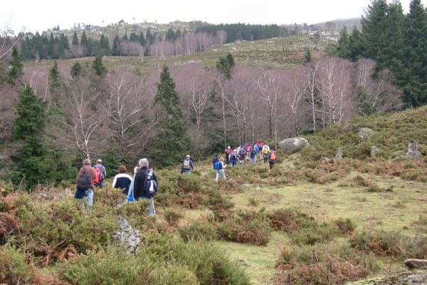 Foto 125 da atividade Galeria de Fotos