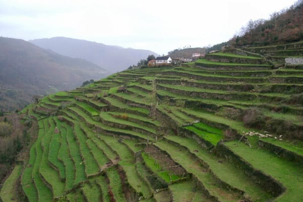 Foto 122 da atividade Galeria de Fotos