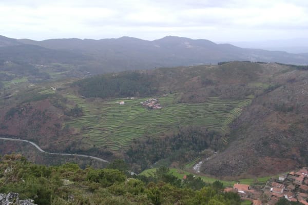 Foto 119 da atividade Galeria de Fotos