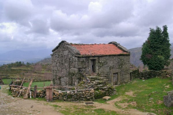 Foto 116 da atividade Galeria de Fotos