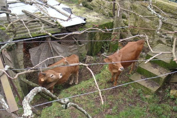 Foto 104 da atividade Galeria de Fotos