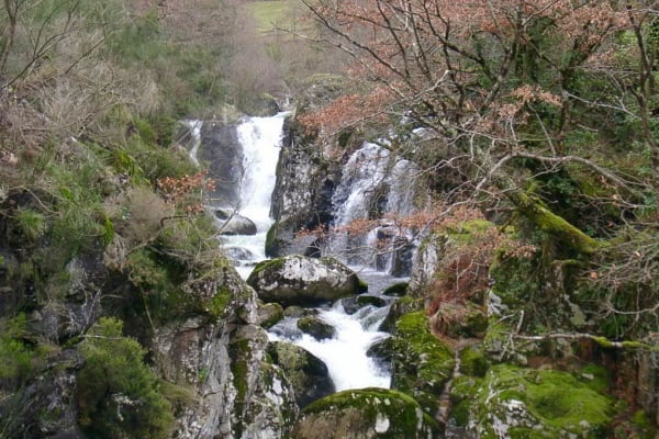 Foto 100 da atividade Galeria de Fotos