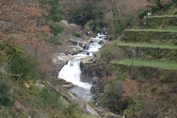 Foto 88 da atividade Galeria de Fotos