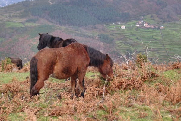 Foto 82 da atividade Galeria de Fotos